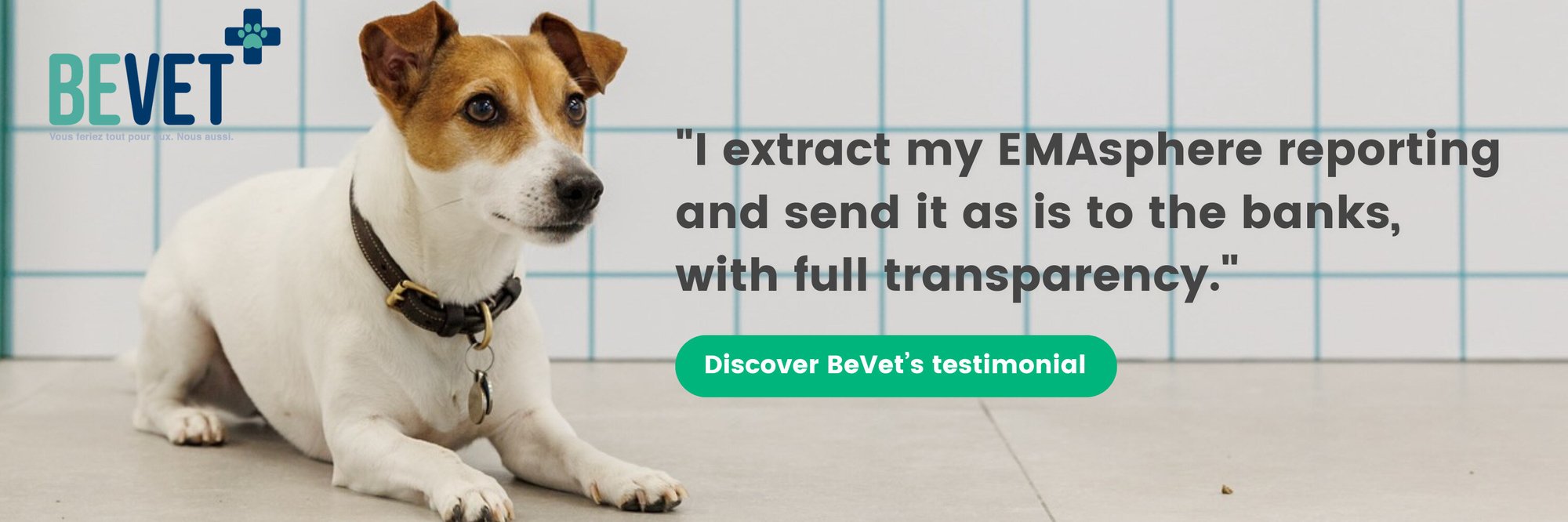 BeVet is a network of veterinary clinics and practices in Wallonia and Brussels. Here is the testimonial from Brieuc de Lamotte.