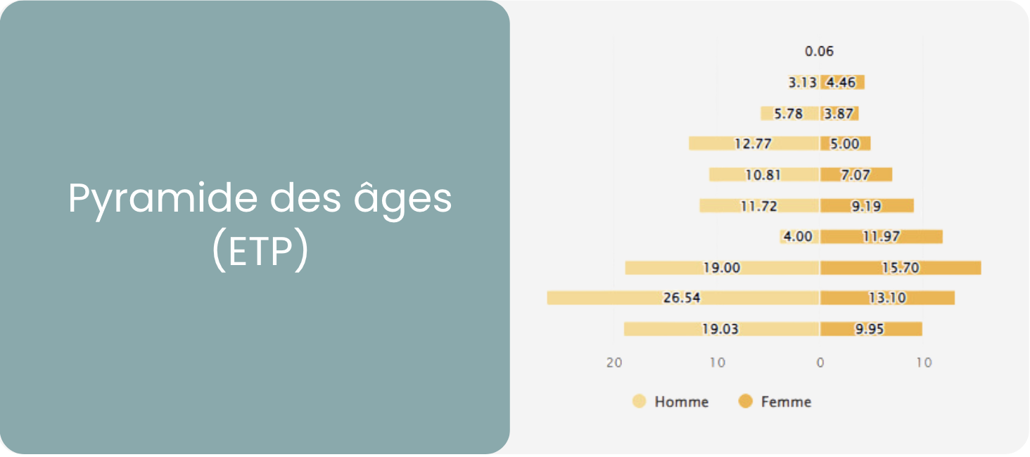 Pyramide des âges 