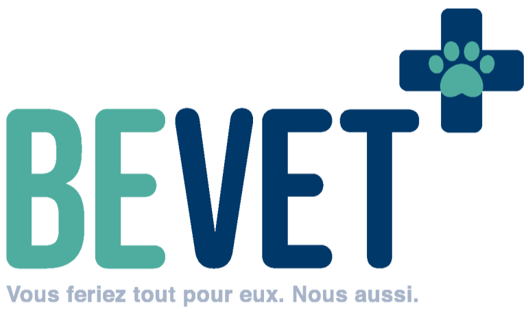 bevet-reseau-veterinaire