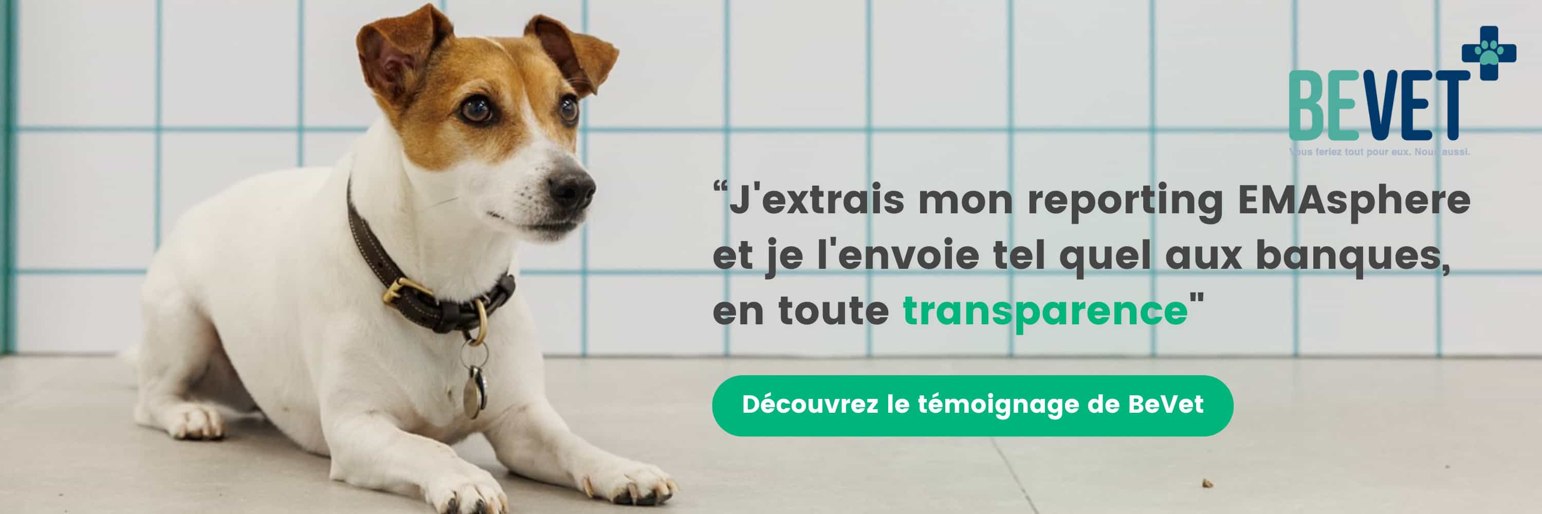 BeVet est un réseau de cliniques et de cabinets vétérinaires en Wallonie et à Bruxelles. Voici le témoignage de Brieuc de Lamotte.